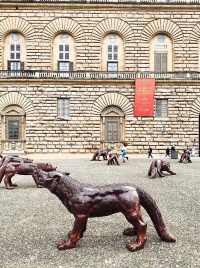 100 loups au Palazzo Pitti