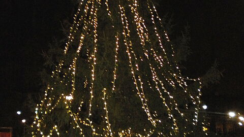 L'arbre de Noël de Prato