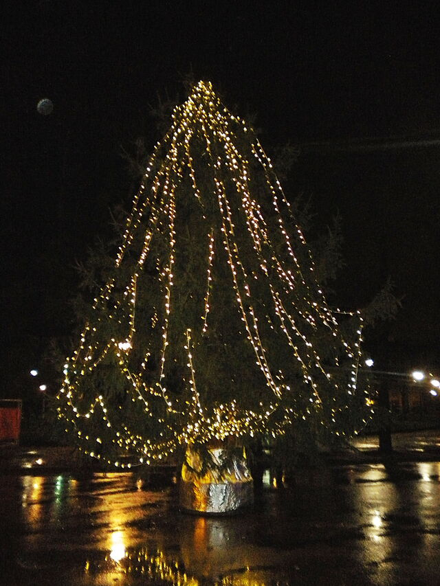 L'arbre de Noël de Prato