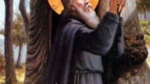 Saint vivaldo