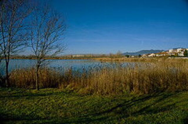 Le lac de Braccini