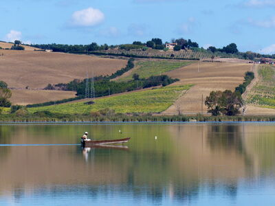 Le lac Chiusi