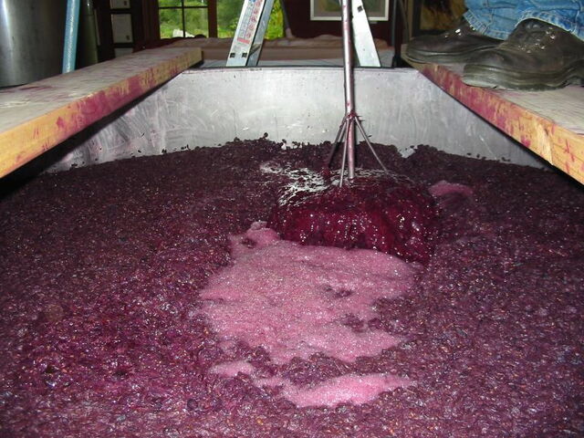 La fermentation du vin rouge