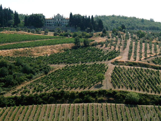 Vignobles du Chianti