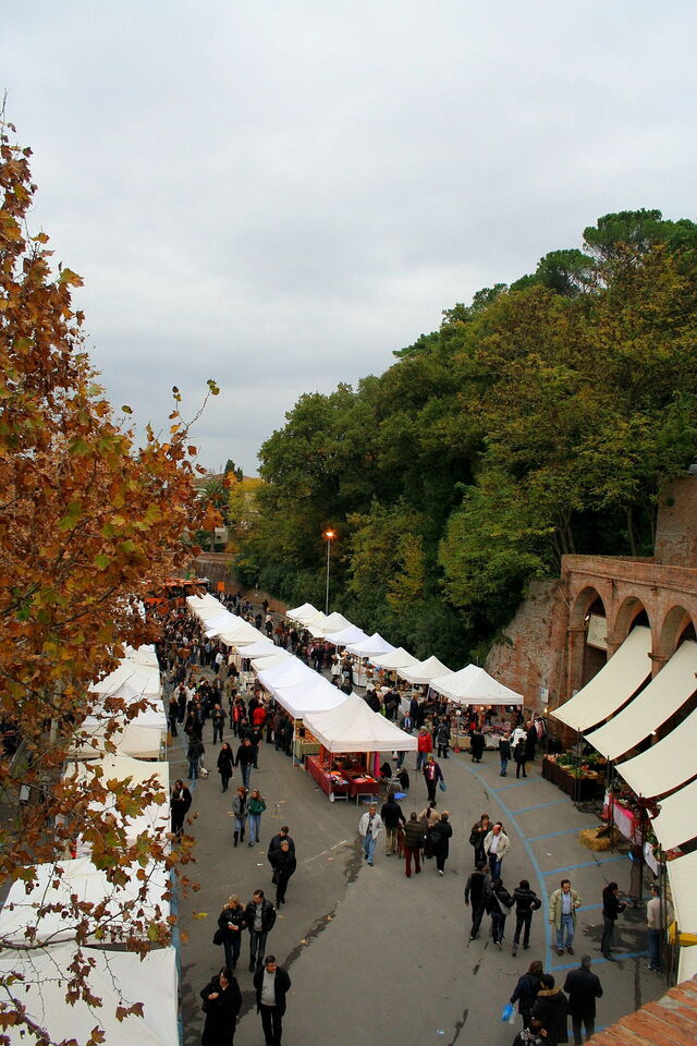 Foire aux truffes, San Miniato