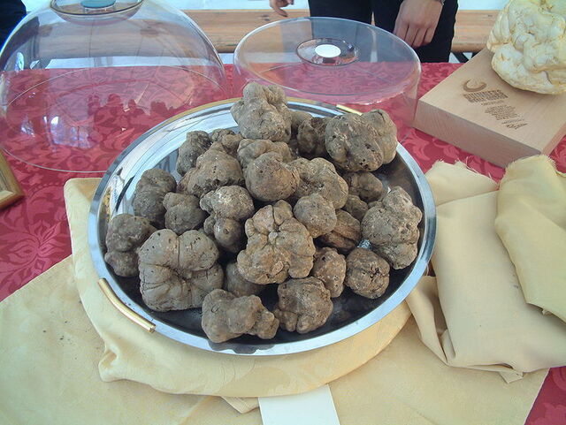Un bol de truffes blanches