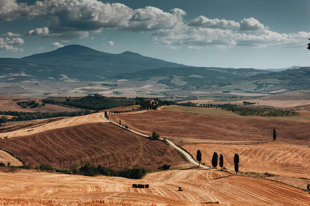 champs de Val-d'Orcia