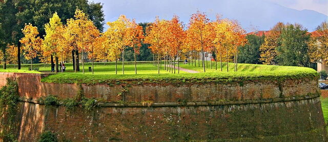 Les murs de Lucques en Automne