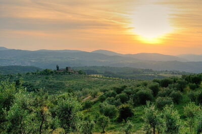 Vue sur la campagne aux alentours de Reggello