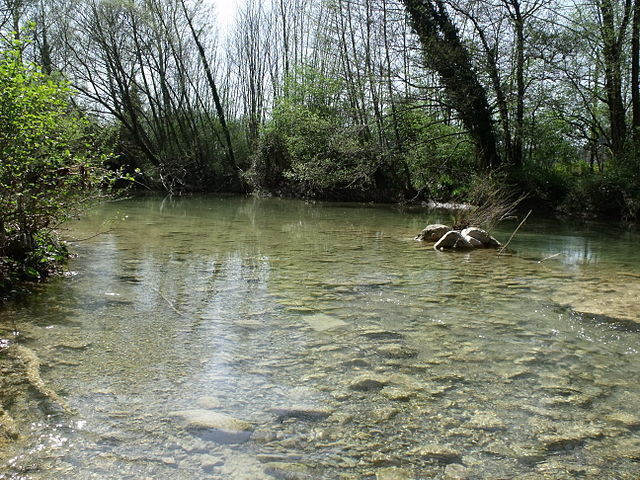 rivière Merse