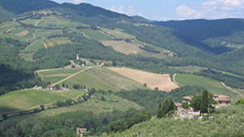 La campagne autour de Radda in Chianti