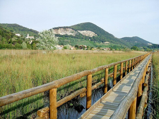 Lac Massaciuccoli