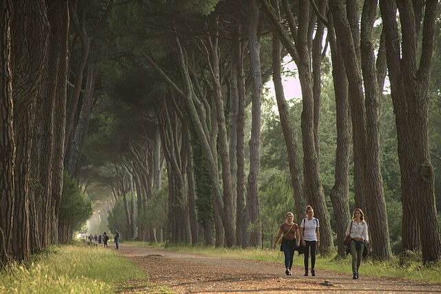 Parc naturel de Migliarino San Rossore Massaciuccoli
