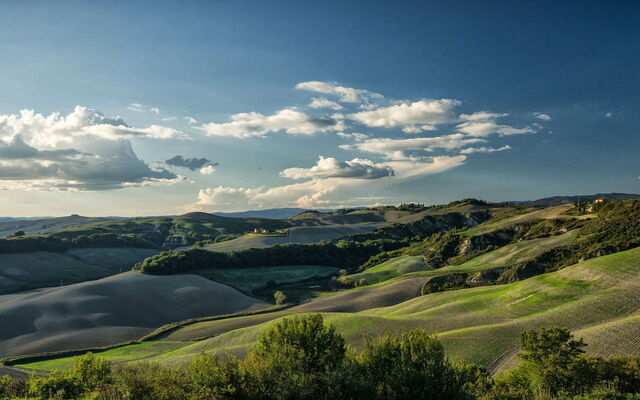 Il Nido Di Giulia, vue
