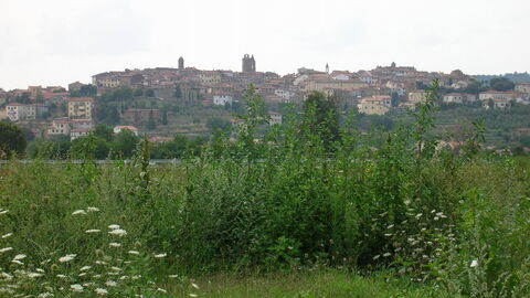 La campagne autoure de Monte San Savino