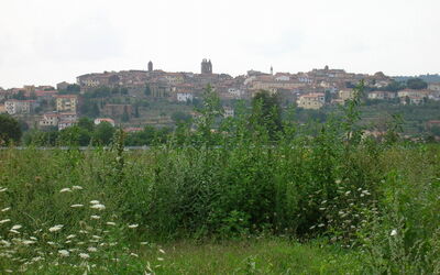 La campagne autoure de Monte San Savino