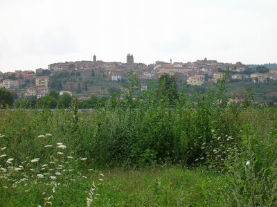 La campagne autoure de Monte San Savino