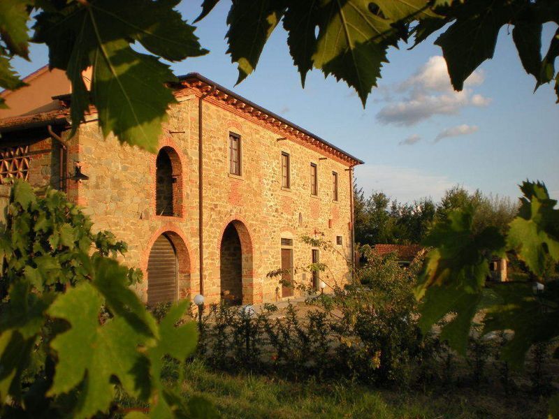 Villa Gropina and the culture
