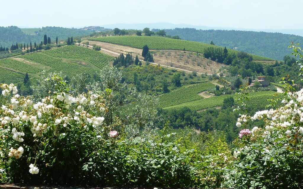 Living the Dream - Day One in Tuscany