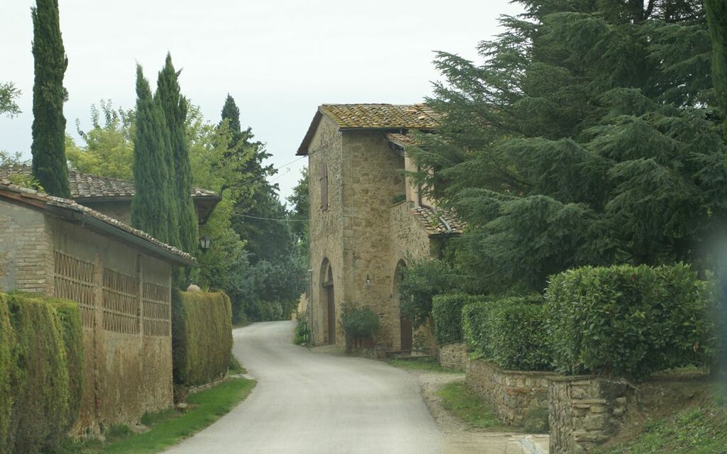 On the road to Colle di Val d'Elsa
