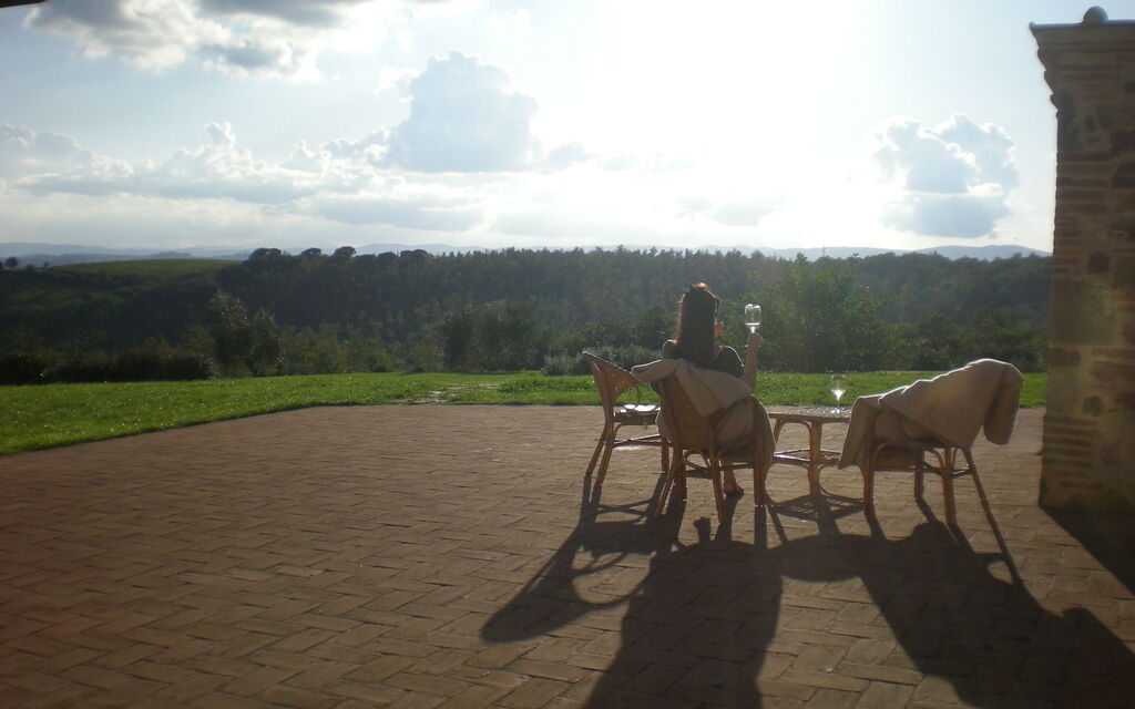 Olivefields in the sunset with wine