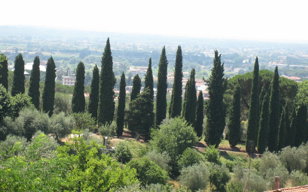 Typical Tuscan Landscape