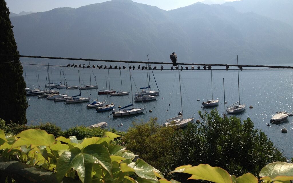 Early morning on Como