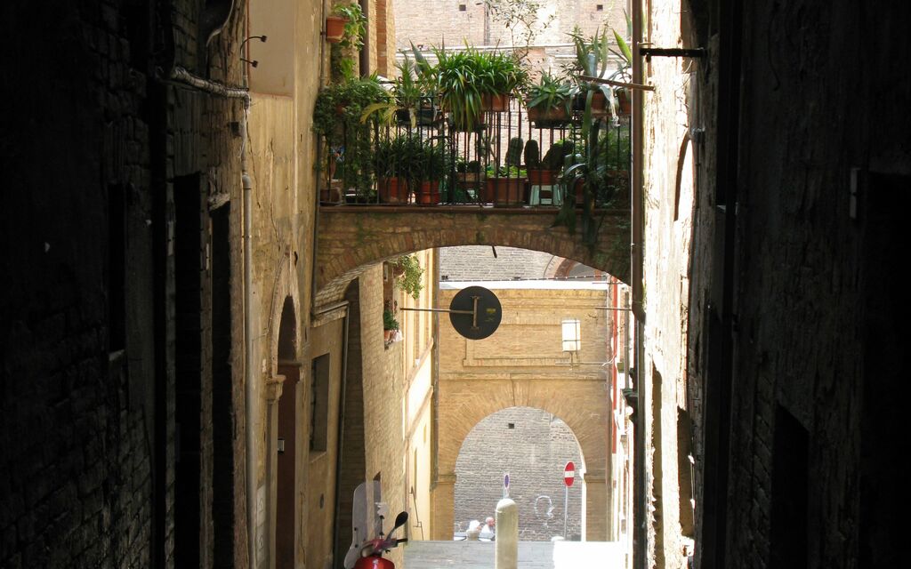 Siena