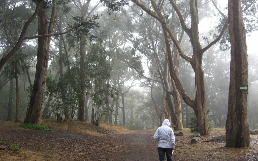 Golden Gate Park