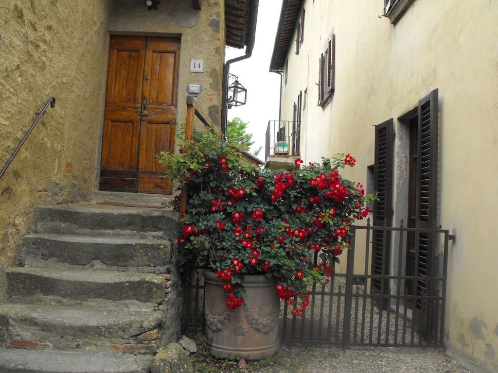 House in Pergine Valdarno