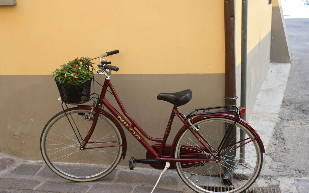 Peppercycle