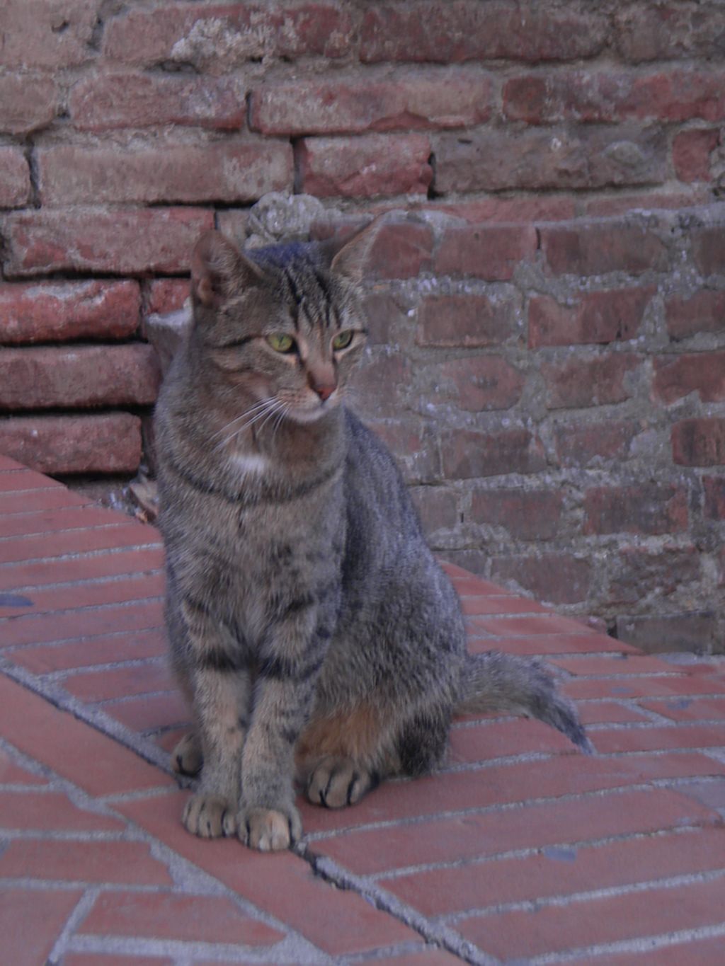 The mannequin in Certaldo