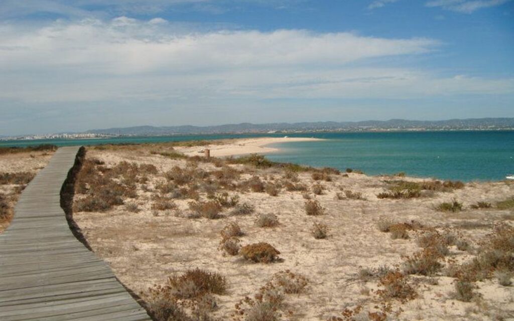 Pathway to the unknown