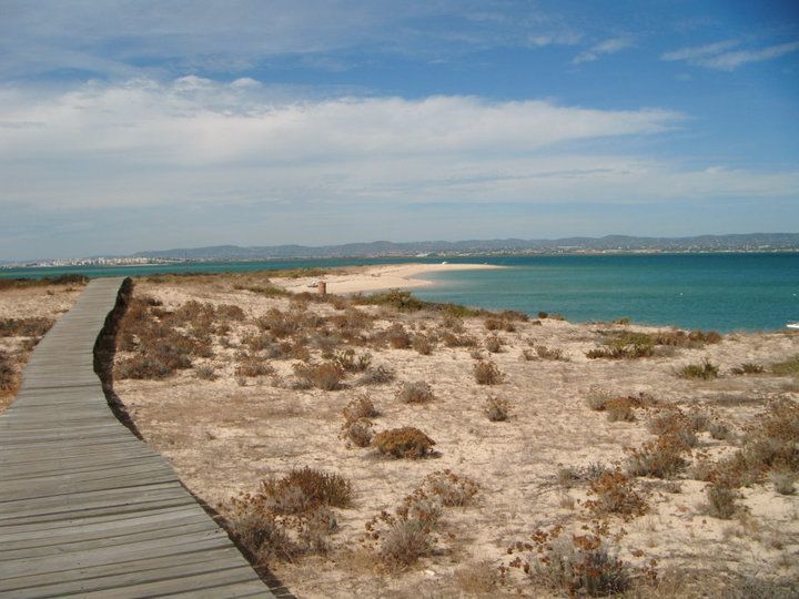 Pathway to the unknown