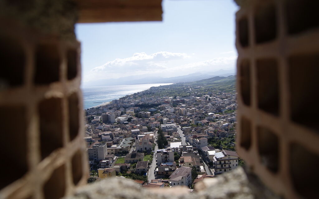 Roccella