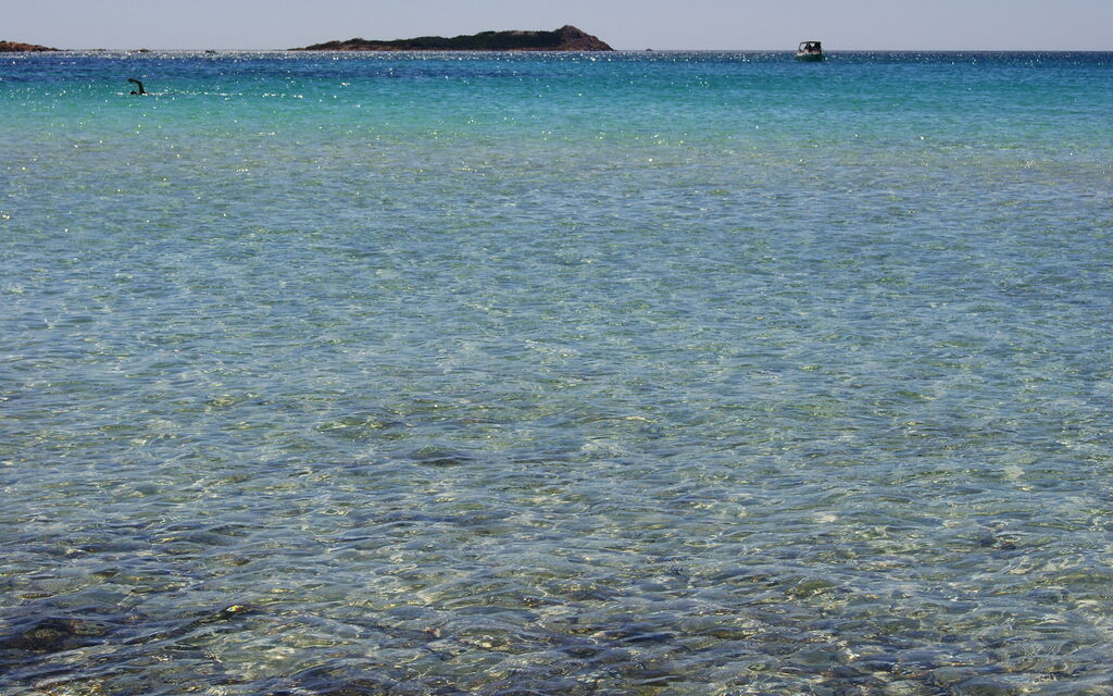 Sardegna