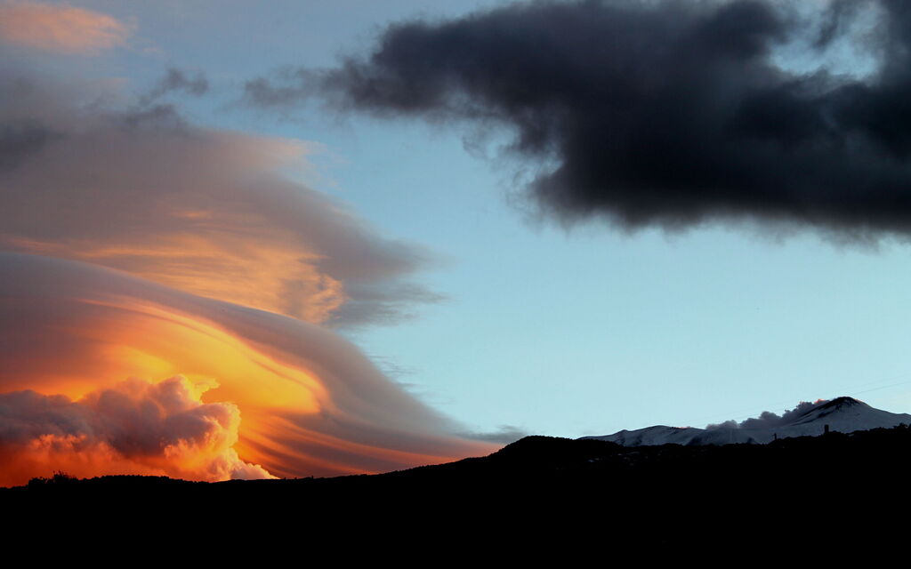 La sinergia della natura