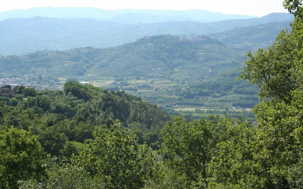 OLD FRIENDS RE-UNION