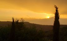 Photos éffectuées par les clients de La Casina del Bosco