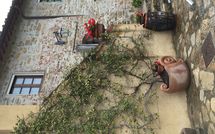 Photos éffectuées par les clients de Villa Sonia