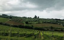 Photos éffectuées par les clients de Villa Ferdinando