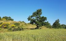 Photos éffectuées par les clients de Casa Caldesi