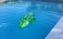 Photos éffectuées par les clients de Uva