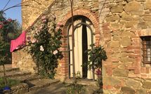 Photos éffectuées par les clients de Podere Orietta