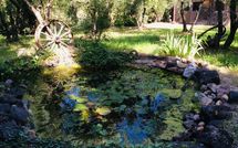 Photos éffectuées par les clients de Casa Cipressi