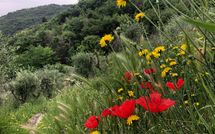 Photos éffectuées par les clients de Villa Mastiano