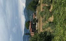 Photos éffectuées par les clients de La Castagnara