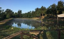 Photos éffectuées par les clients de Fucecchio 900