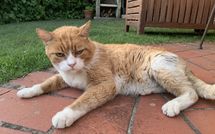 Photos éffectuées par les clients de Villa Grazia