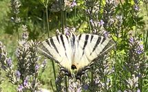 Photos éffectuées par les clients de Molino Santa Lucia